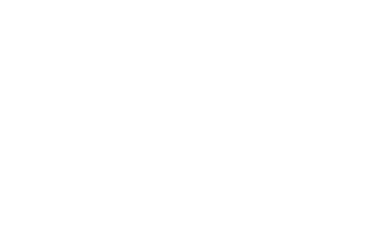 STAGING Silver Willow